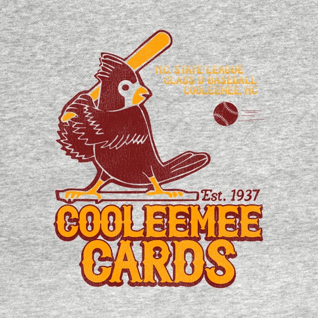 Defunct Cooleemee Cards Baseball Team by Defunctland